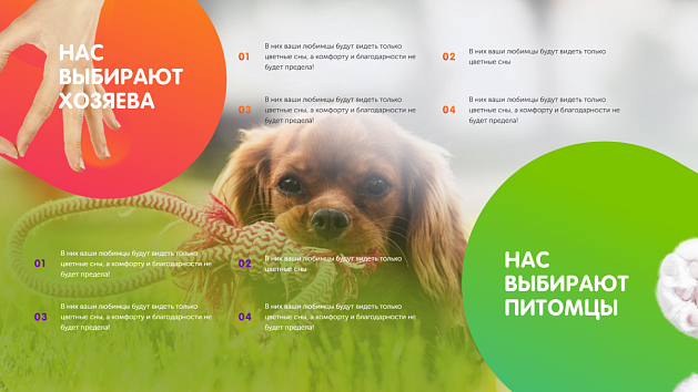 Нас выбирают